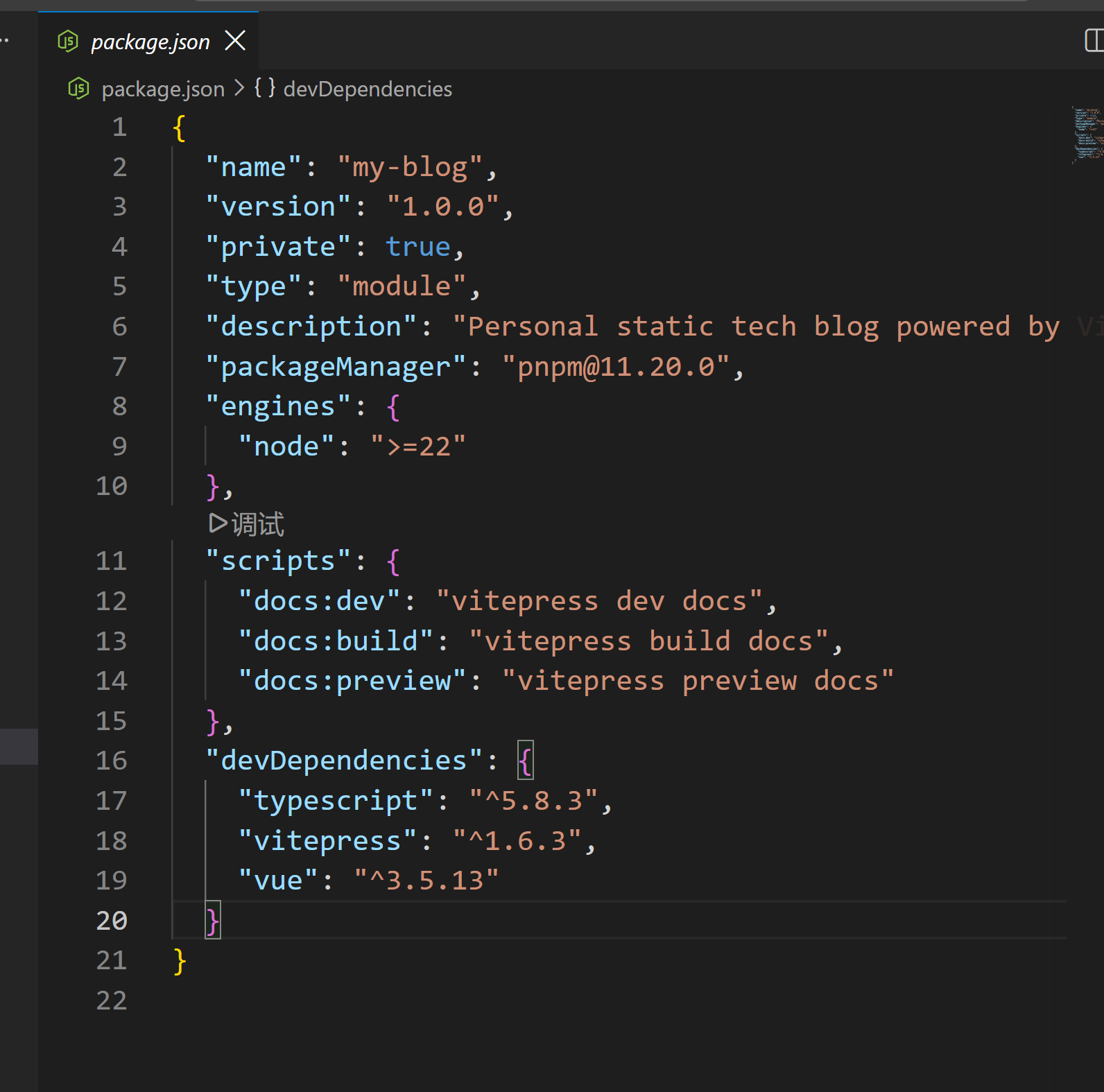 项目 package.json